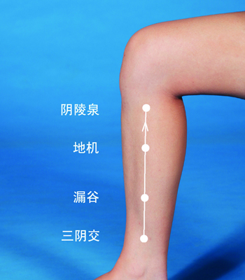 常揉陰陵泉等穴，讓你身體更強(qiáng)壯