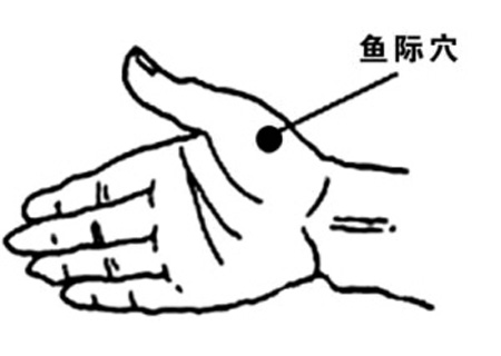 魚(yú)際穴→治發(fā)熱、咳嗽