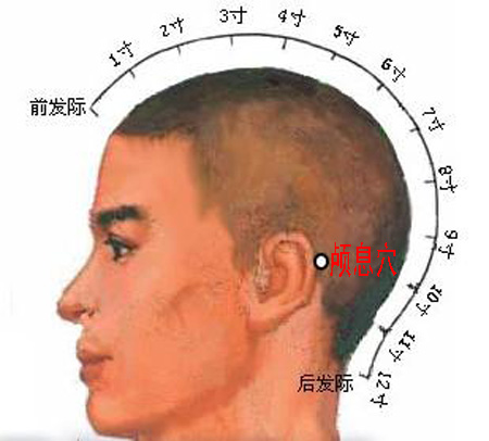 顱息穴→治頭痛、耳痛