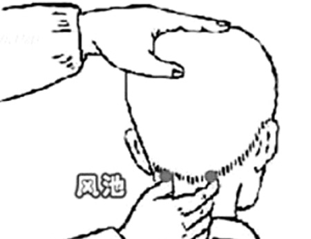風(fēng)池穴→治頭痛、眩暈