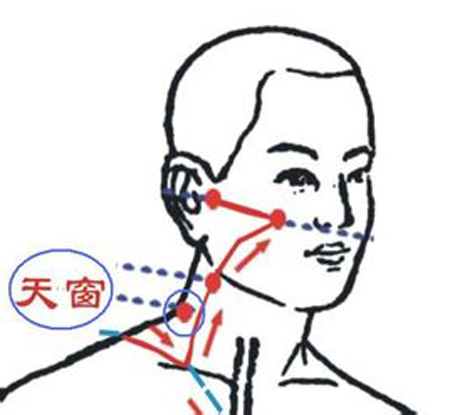 天窗穴→治耳鳴、耳聾