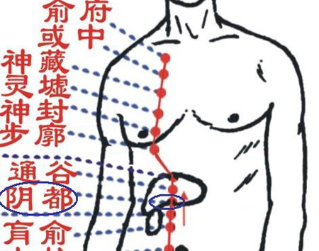 陰都穴→治腹脹、胃痛