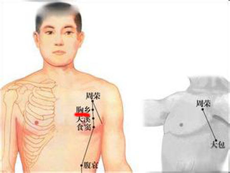胸鄉(xiāng)穴→治咳嗽、哮喘