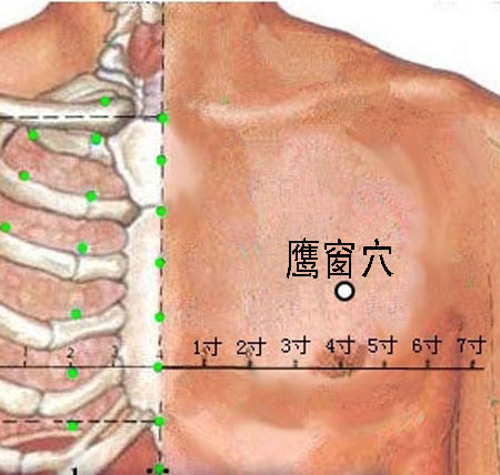 鷹窗穴→治咳嗽、氣喘