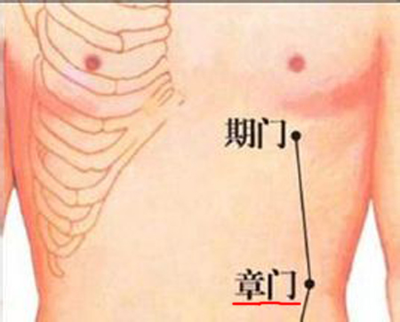 章門穴→治腹痛、腹脹