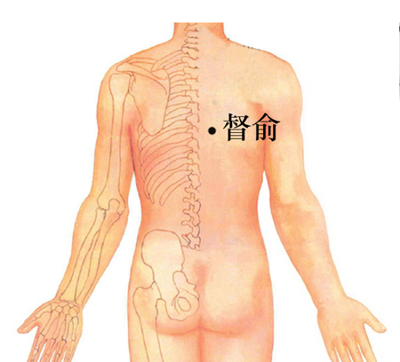 督俞穴→治心痛、胸悶