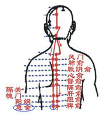 意舍穴→治腹脹、腸鳴