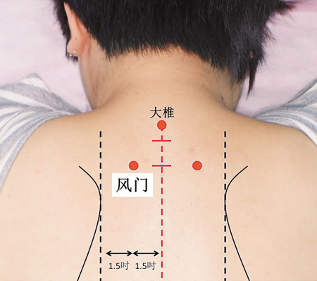 風(fēng)門穴→治傷風(fēng)、咳嗽