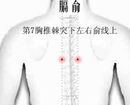 膈俞穴→治嘔吐、呃逆