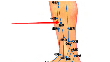 漏谷穴→治腹脹、腸鳴