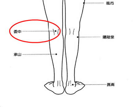 委中穴→治腰痛、腹痛。