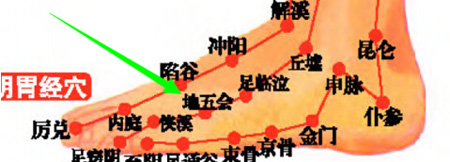 地五會穴→治頭痛、目赤痛.