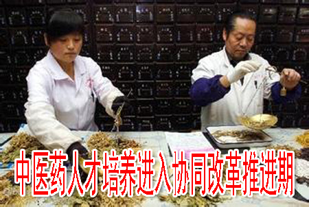 中醫(yī)藥人才培養(yǎng)進入協(xié)同改革推進期