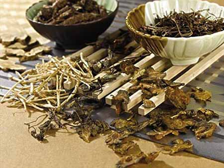 中醫(yī)藥走向世界：如何再快一些？