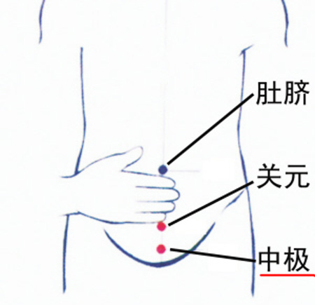 中極穴：補腎培元，調治陰挺、不孕