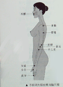 敲敲打打大腸經(jīng)、胃經(jīng)，女人的“不老秘方”