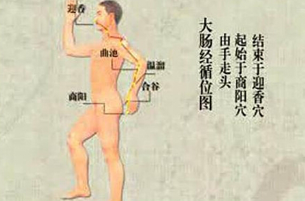刮痧刮大腸經(jīng)，可以清理腸道、排出宿便