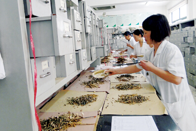 以“一帶一路”為契機，推動中醫(yī)藥走向世界