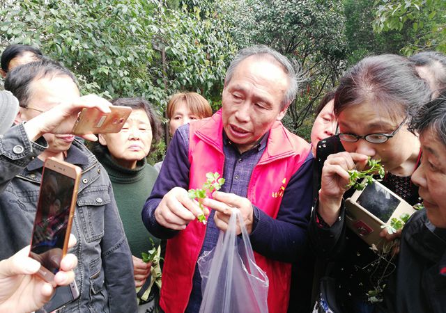 春游踏青尋百草，跟名中醫(yī)認草藥