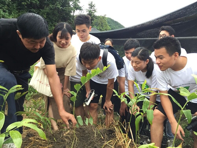 湖北中醫(yī)藥大學藥學院組織學生前往中藥材種植基地進行暑期社會實踐活動
