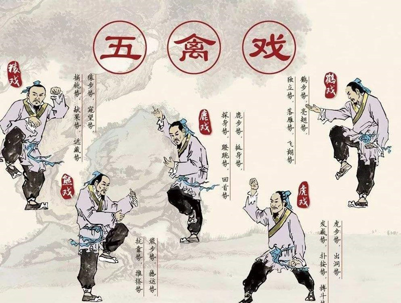 華佗，外科鼻祖，發(fā)明麻沸散、五禽戲