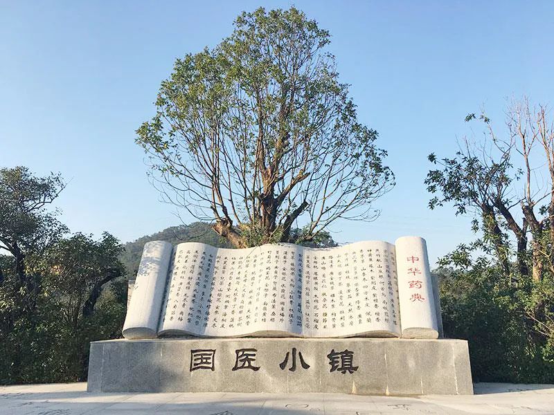 【防疫先鋒科學營】爭當抗疫小先鋒，探尋神奇中醫(yī)藥