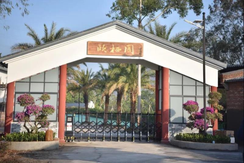 【國醫(yī)小鎮(zhèn) 特大喜訊】中醫(yī)藥健康特色民宿“頤棲園”正式開業(yè)！