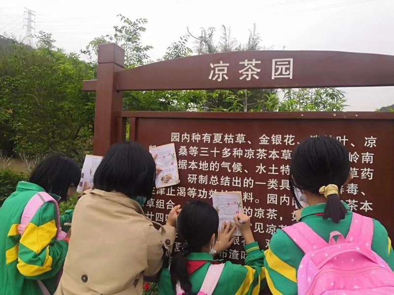 認識廣東涼茶