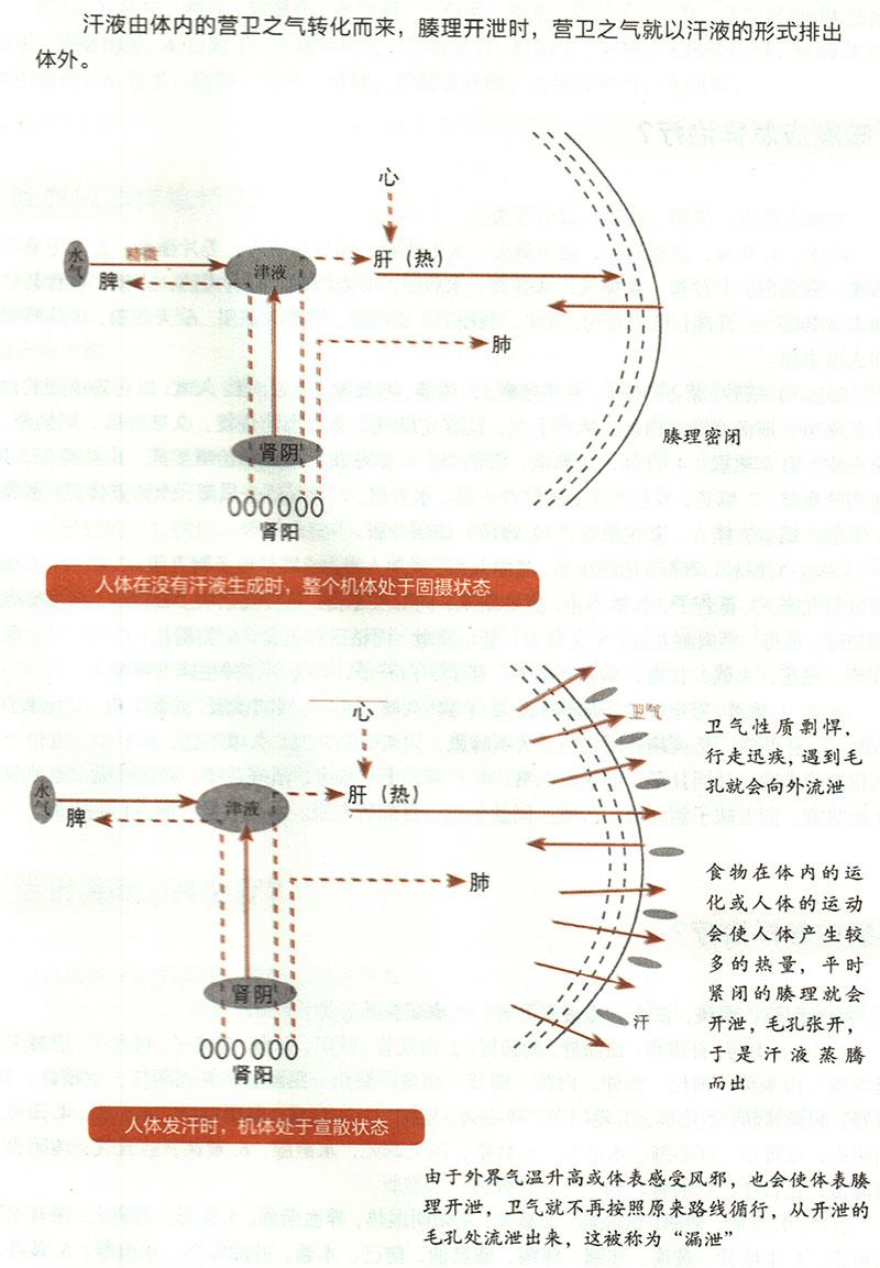 諸汗應(yīng)怎樣治療？