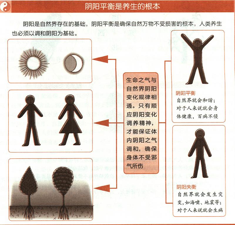 養(yǎng)生的根本是什么？