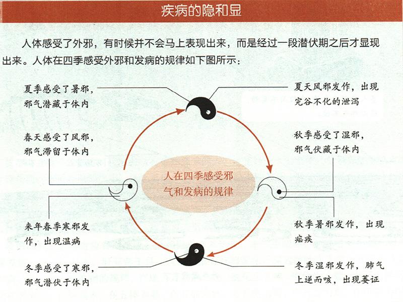 為什么要順應(yīng)四時陰陽來養(yǎng)生？