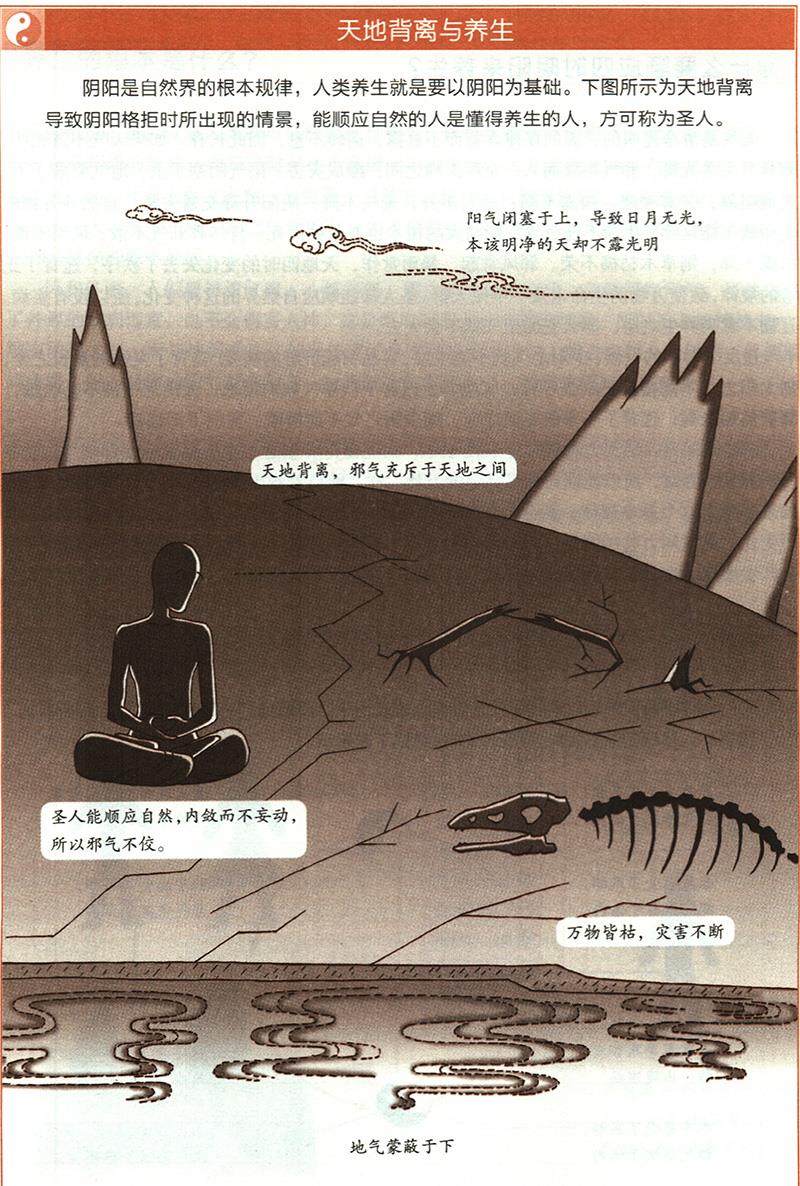 陽氣有什么重要性？