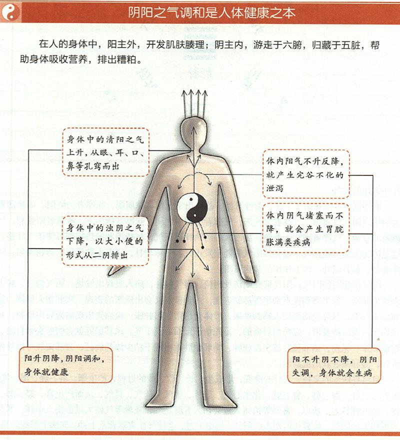人為什么一定要陰陽(yáng)調(diào)和才健康？