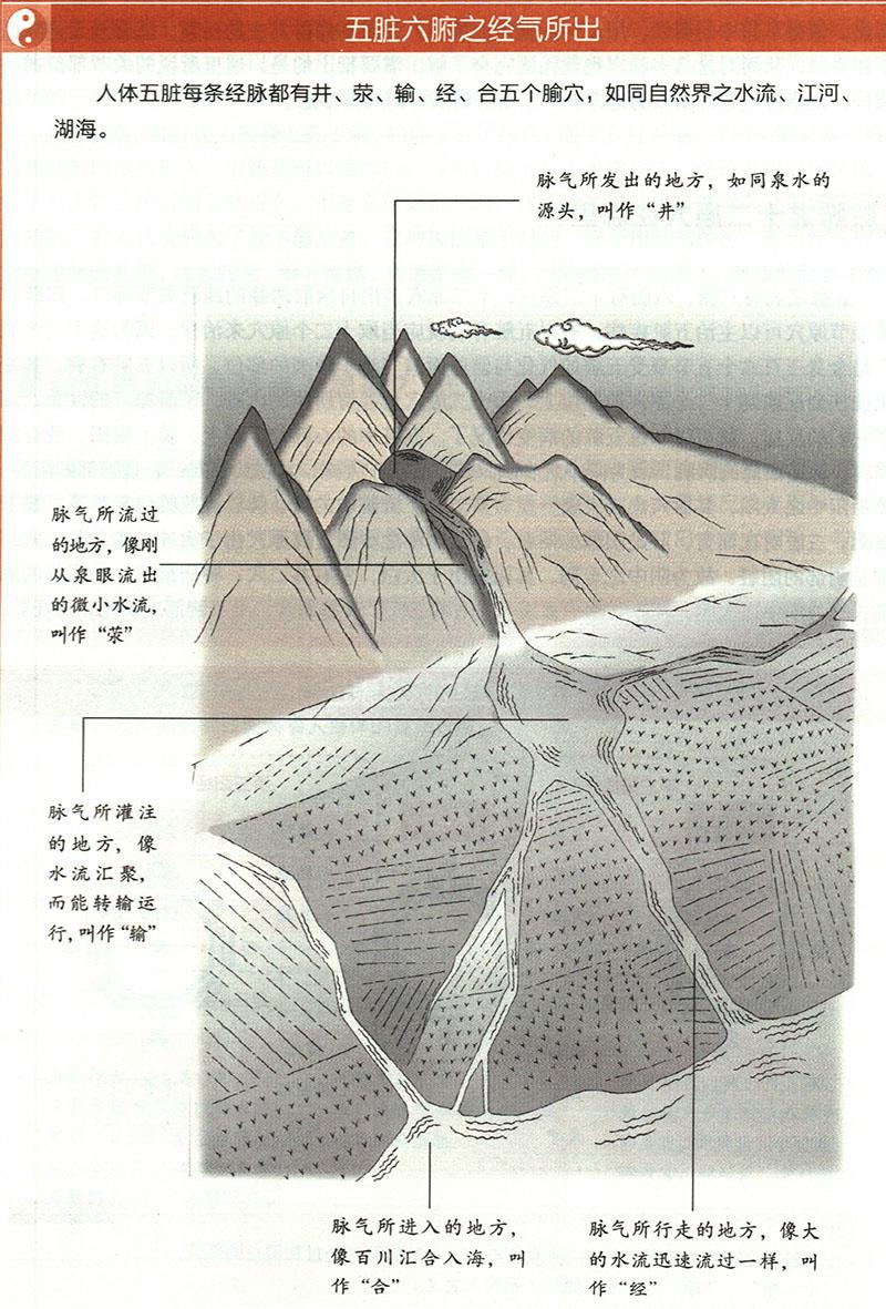 臟腑之經(jīng)氣所出分別在哪里？