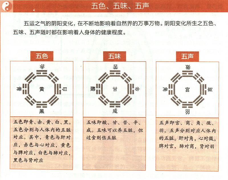 臟腑功能如何在體表上顯現？