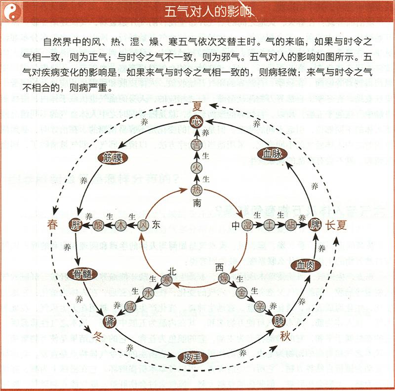六氣與人體及萬(wàn)物有何聯(lián)系？
