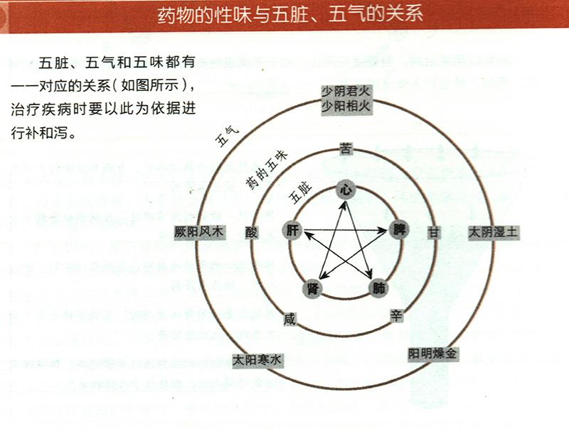 藥物的性味與五臟、五氣有什么關(guān)系？