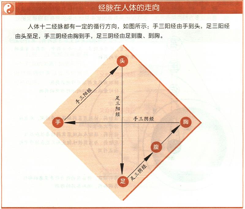 十二經(jīng)脈的起止點(diǎn)分別在哪里？