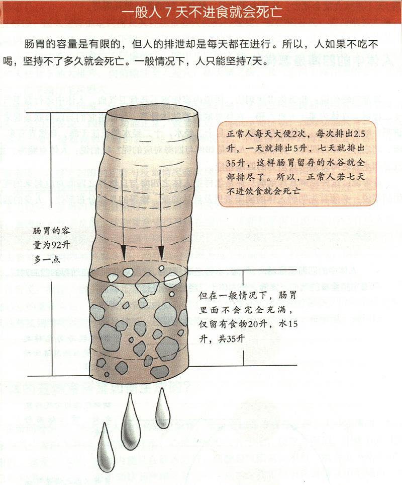 為什么7天不進食就會死亡？