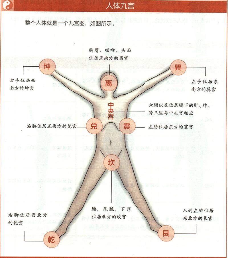 人體各部與九野是怎樣對(duì)應(yīng)的？