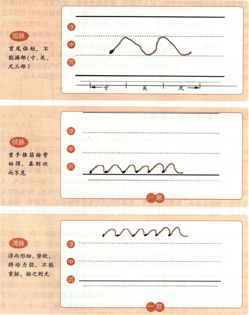 緩、急、小、大、滑、澀六種脈象所對(duì)應(yīng)的病狀情形是怎樣的？