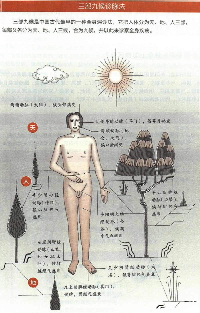 如何根據(jù)三部九候來診病？