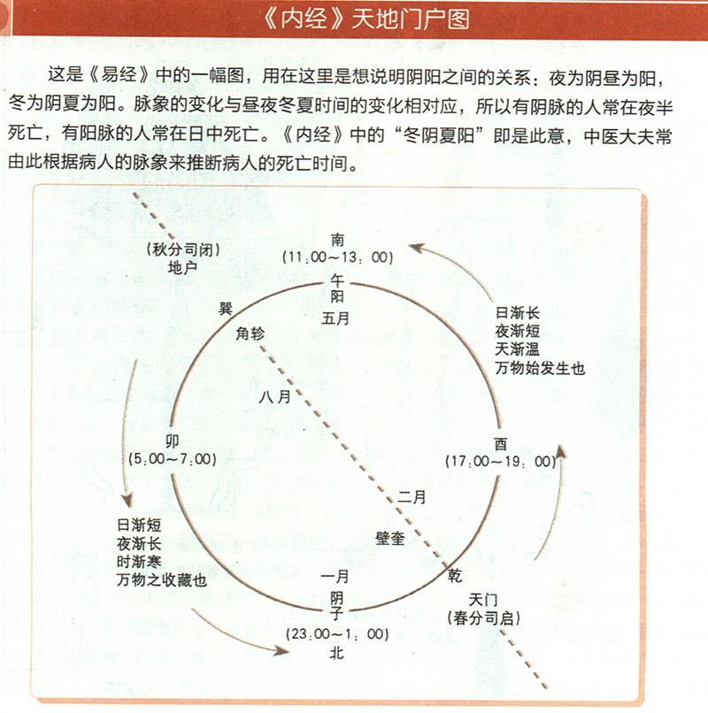 冬陰夏陽(yáng)從脈象上怎樣區(qū)分？