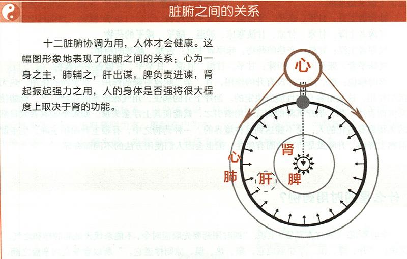 什么是五臟五味補(bǔ)瀉？