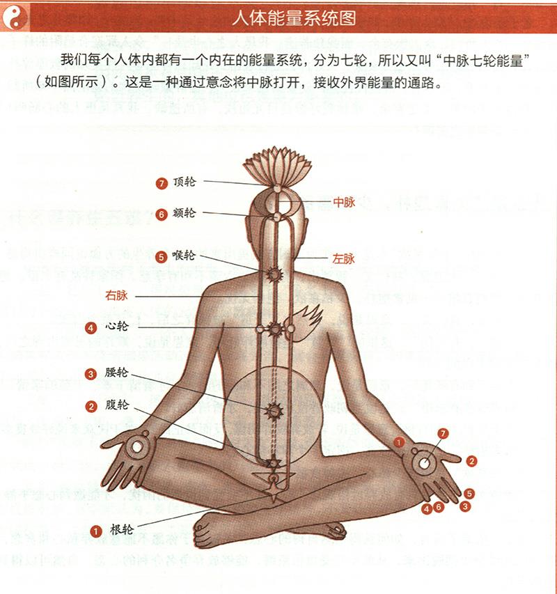 道家的“無(wú)為”為何能養(yǎng)生？