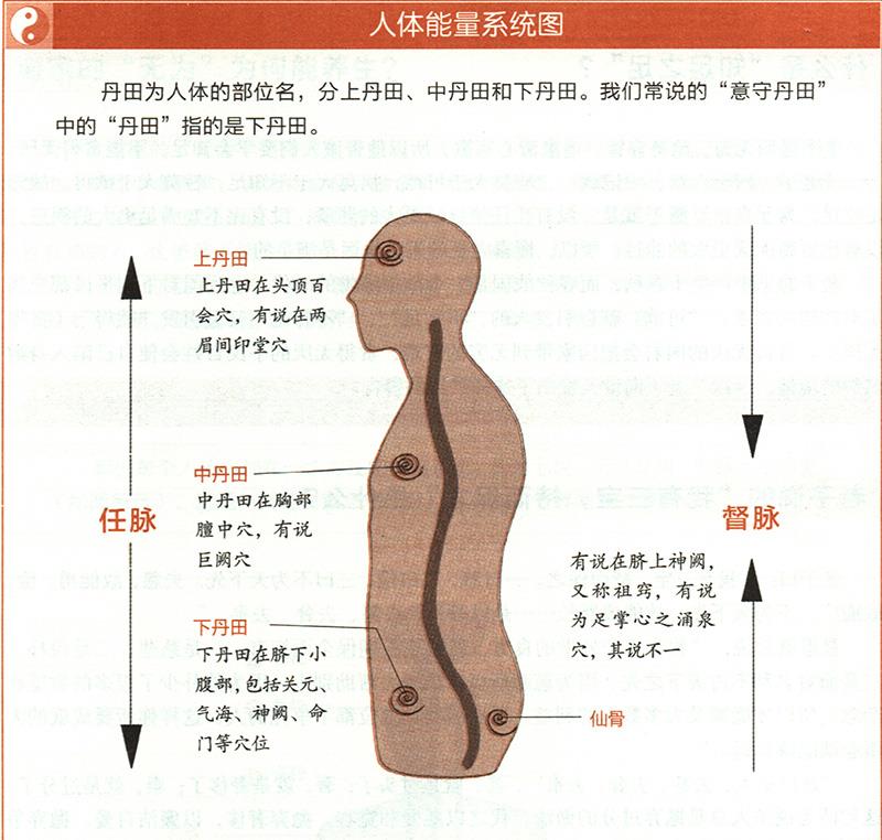 “吹呴呼吸，吐故納新”是怎樣的養(yǎng)生法？