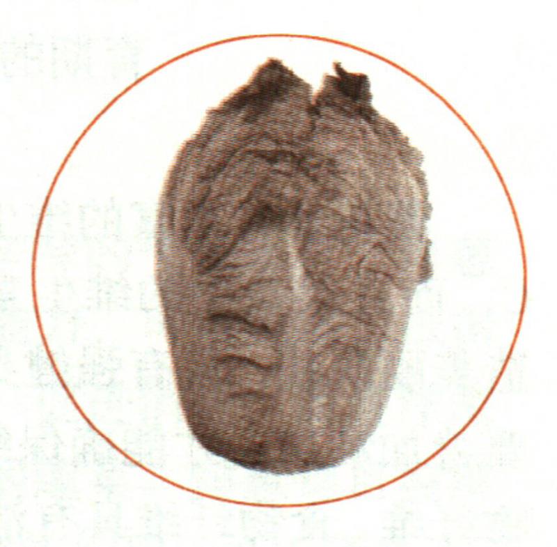 補(bǔ)虛養(yǎng)血，就找“菜中之王”白菜