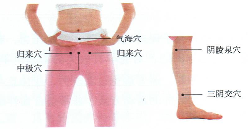 按摩歸來穴、中極穴等，健脾調(diào)經(jīng)更助孕
