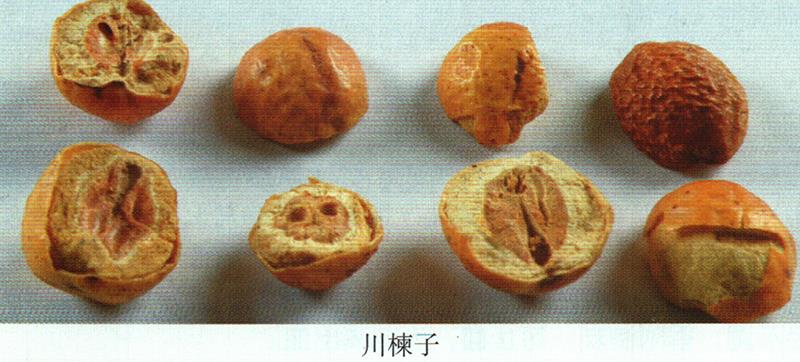黑膽?。ㄇ⊙拍歉癫迹┑闹委?/>
       </div>
       <p>黑膽?。ㄇ⊙拍歉癫迹┑闹委?/p>
      </a>
     </li>
      <li>
       <a href=